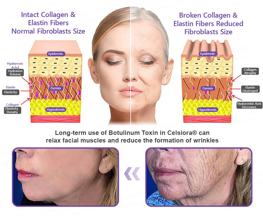 Celsiora® PDRN Multi-Peptide Massaging Body Roller Cream