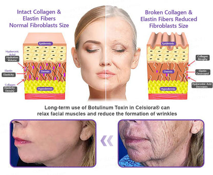 Celsiora® PDRN Multi-Peptide Massaging Body Roller Cream