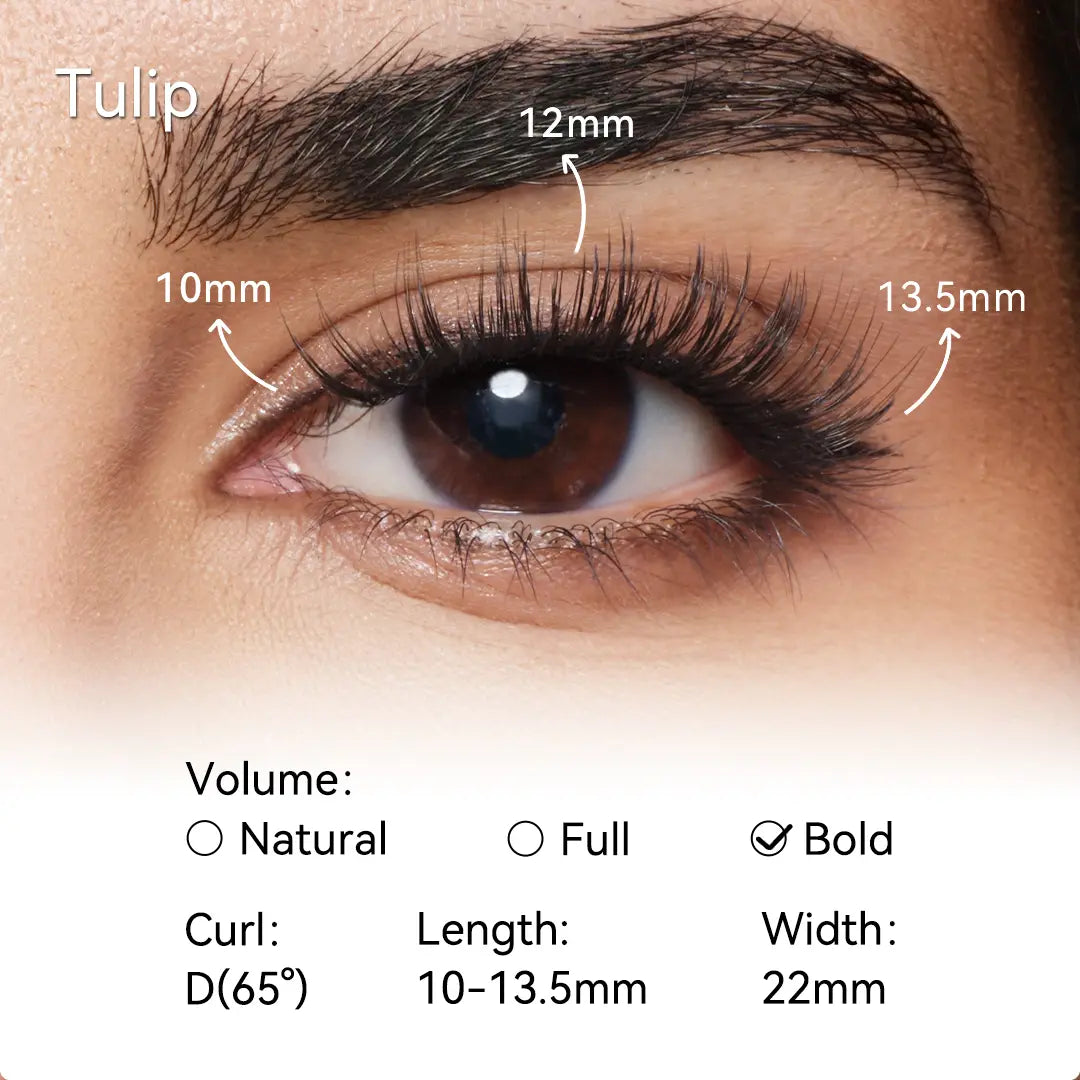 🎁💞LAST DAY 75% OFF-DOCTIA® Soft Magnetic Eyelashes All-in-One Box, Reusable, Glue-Free, Waterproof, Lightweight, Natural Style Makeup Cosmetic（upsell）