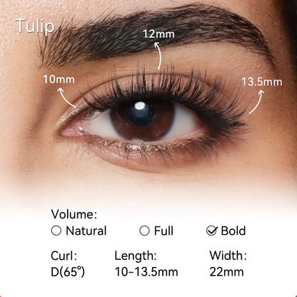 🎁💞LAST DAY 75% OFF-DOCTIA® Soft Magnetic Eyelashes All-in-One Box, Reusable, Glue-Free, Waterproof, Lightweight, Natural Style Makeup Cosmetic（upsell）